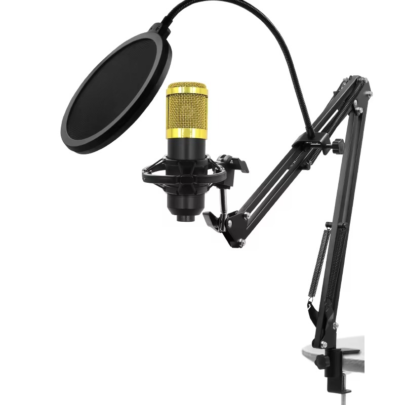 BM800 condenser mic studio kit with adjustable microphone arm and pop filter for clear audio recording