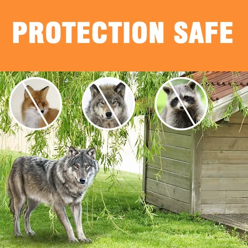 Magazaw smart chicken coop door opener for secure and convenient poultry protection